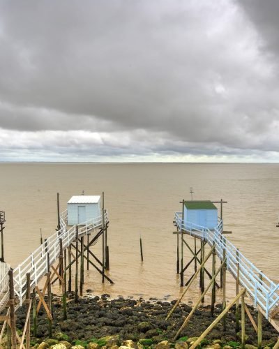 estuary-4556265_1920 (1)